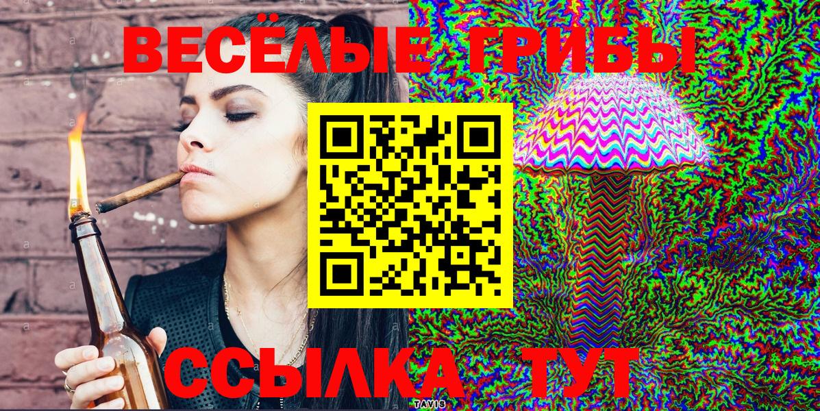Сафоново  Псилоцибиновые грибы Cubensis  Вход с VPN 