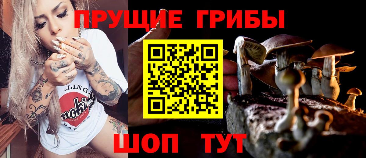 Галлюциногенные грибы Psilocybine cubensis Сафоново